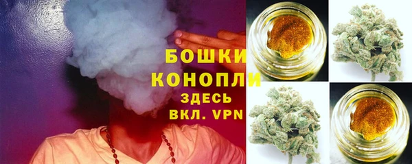 крисы Няндома
